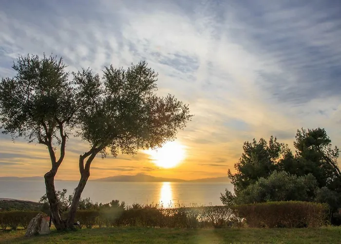 Blue Luxury Maison 度假居